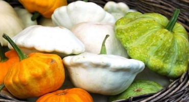 Jak zmrazit squash na zimu čerstvé doma a je to možné